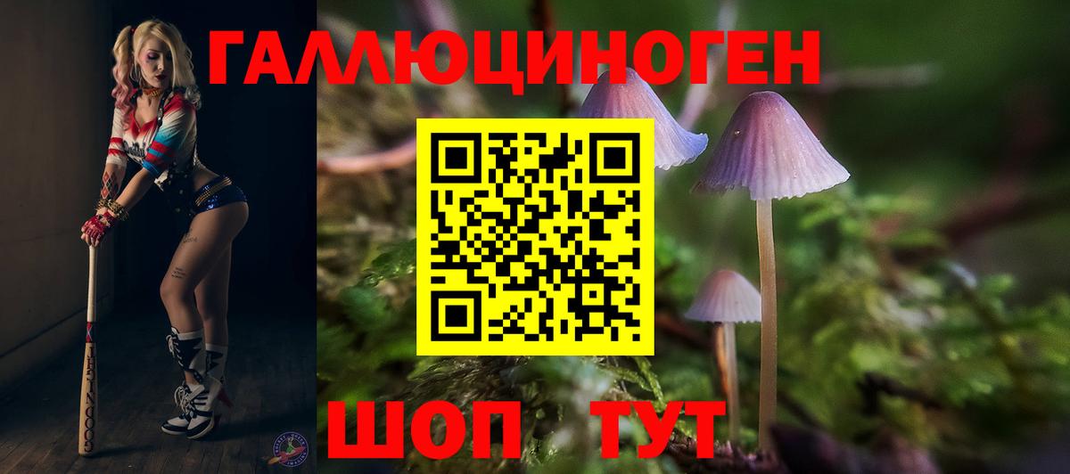 Псилоцибиновые грибы Magic Shrooms Заводоуковск